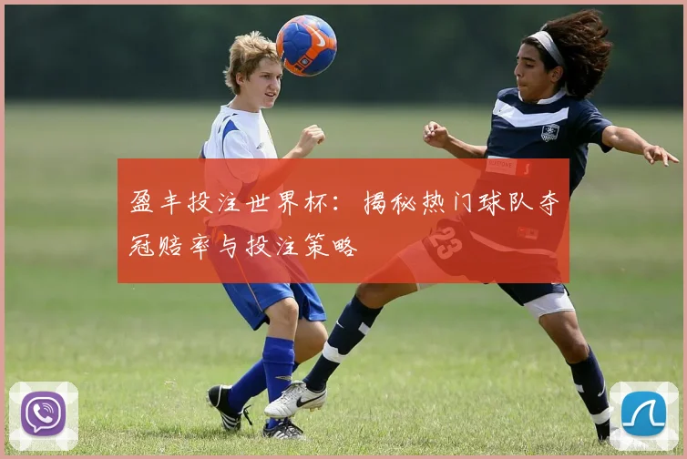 盈丰投注世界杯：揭秘热门球队夺冠赔率与投注策略