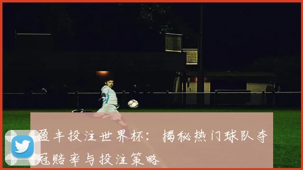 盈丰投注世界杯：揭秘热门球队夺冠赔率与投注策略